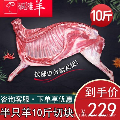 碱滩羊 草原散养羊肉带骨半只羊羔羊羊肉商用批发图5