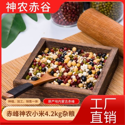 神农赤谷内蒙小米杂粮4.2kg杂粮营养红枣粥熬粥原材料厂家批发