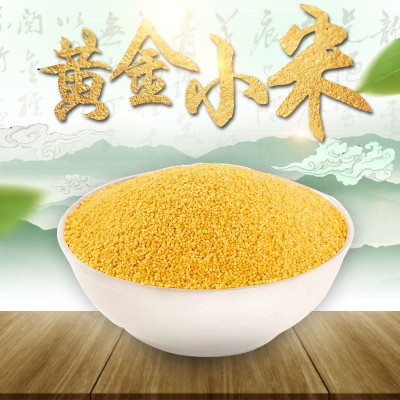 神农赤谷内蒙黄小米2.5kg黄小米月子米小米粥杂粮粗粮米当季新米