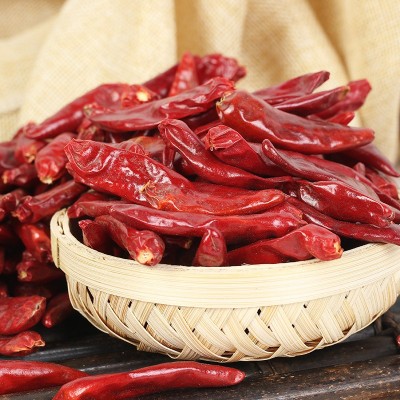 产地货源河南内黄新一代干辣椒500g 适用于火锅底料特辣不易浑汤图3