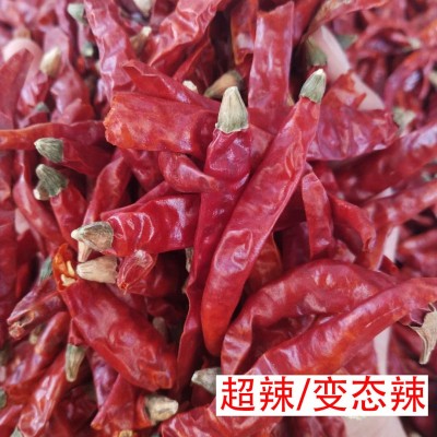 批发干辣椒印度椒辣海椒朝天椒辣椒段调料散装500g辣椒干代发图3