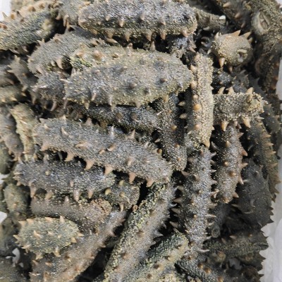 大钦岛天然拉缸盐海参辽参刺参半干货500g厂家直供支持批发图5