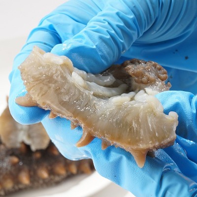 鲜食海参即食海参大连辽刺参工厂2-6头高品质海参批发量大优惠图2