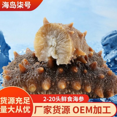 鲜食海参即食海参大连辽刺参工厂2-6头高品质海参批发量大优惠图5