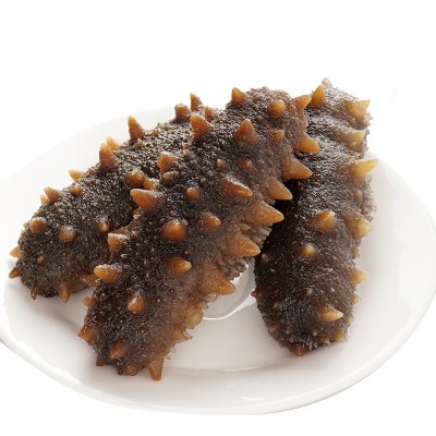 大连辽参一手货源工厂批发有优惠7-12头鲜食海参刺参即食海参批发