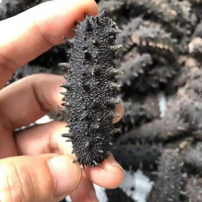 大连海参特产淡干海参干货海鲜水产500g辽刺参散装商用可代发