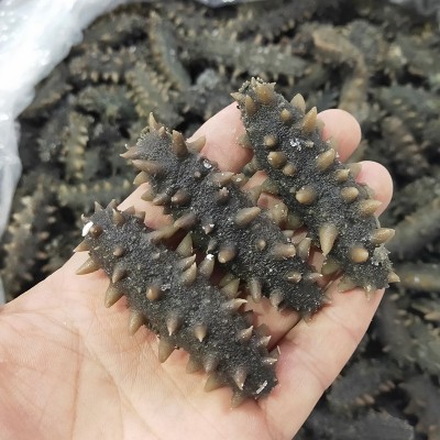 厂家批发大连半干海参可商用拉缸盐海参辽刺参可食用一件代发包邮图2