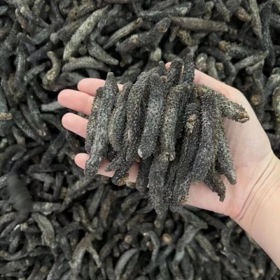 小刺参50g 40根 刺突干海参代发 野生淡干深海非即食海参 孕妇老图3