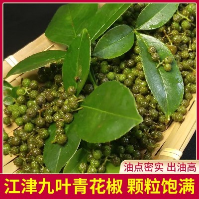 批发江津九叶青花椒保鲜清花椒粒50g装新鲜嫩藤椒生麻椒青花椒图4