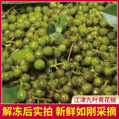 青花椒江津九叶青花椒350g批发保鲜清花椒粒重庆新鲜生麻椒嫩藤椒图4