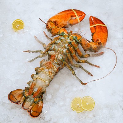 波士顿龙虾生冻宴会酒席海鲜食用水产速冻海鲜500-750克一只图4