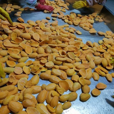 烘焙芒果干片果脯 果脆果干即食批量供应 顺来