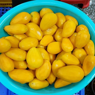 烘焙芒果干片果脯 果脆果干即食批量供应 顺来图3