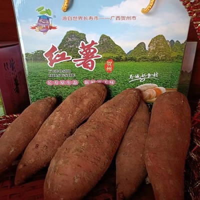 鲜美香甜营养红心红薯紫薯地瓜 糖化口感好 顺来图3
