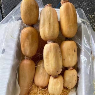莲藕粉藕粉糯香甜 煲汤 新鲜批发 顺来长期供应图5