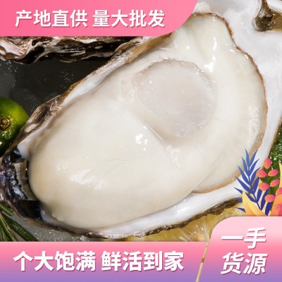 山东乳山生蚝新鲜肥美鲜活海蛎子5斤一整箱批发牡蛎货源稳定包邮图1