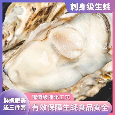 乳山生蚝批发鲜活海蛎子海鲜牡蛎水产贝类烧烤专供一整箱顺丰包邮图4