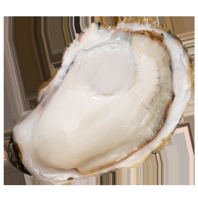 乳山生蚝批发鲜活海蛎子海鲜牡蛎水产贝类烧烤专供一整箱顺丰包邮图2