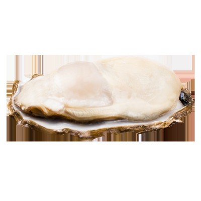 乳山生蚝批发鲜活海蛎子海鲜牡蛎水产贝类烧烤专供一整箱顺丰包邮图5