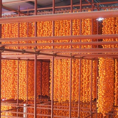 半干燥柿饼 特产 多种口味 糯性粘软 礼盒礼包包装 支持定制 和兴食品图3
