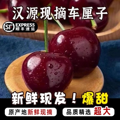 四川汉源黑珍珠车厘子红灯笼美早大樱桃新鲜水果批发顺丰京东包邮图2