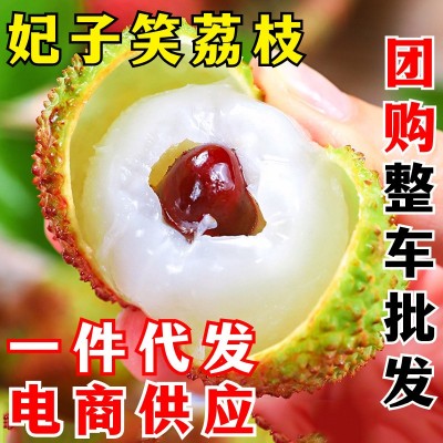 海南妃子笑荔枝 一件代发 新鲜荔枝现摘老树果皮薄核小的当季水果图1