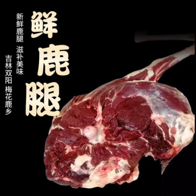 鹿产品鲜鹿腿肉东北鹿乡产地直发新鲜肉现货真空包装一件代发图3