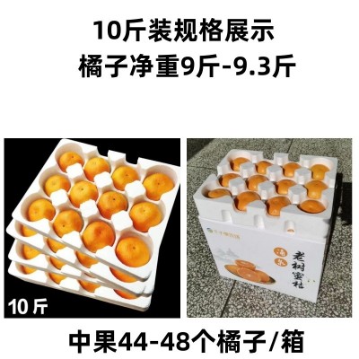 正宗临海涌泉蜜桔新鲜无核薄皮桔子10斤整箱当季水果现摘现发图5