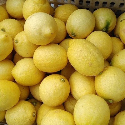 批发土柠檬安岳柠檬水果新鲜水果尤力克柠檬皮薄多汁一件代发图2