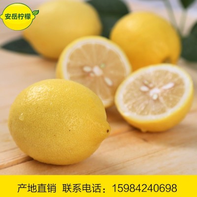 四川安岳柠檬水果新鲜黄柠檬批发优质水果鲜水果一件批发5斤包邮图2
