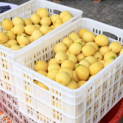 一件批发5斤包邮四川安岳柠檬水果新鲜黄柠檬批发优质水果鲜水果图4
