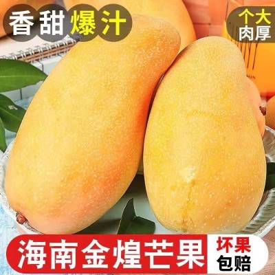 海南金煌芒芒果特一级大果新鲜水果现摘青甜心黄皮水仙芒整箱芒果图1