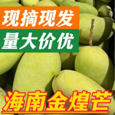 海南金煌芒芒果特一级大果新鲜水果现摘青甜心黄皮水仙芒整箱芒果图3