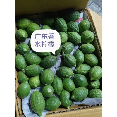 柠檬新鲜现摘无籽奶茶店香水柠檬专一级当季精选酸香多汁新 鲜水果图5