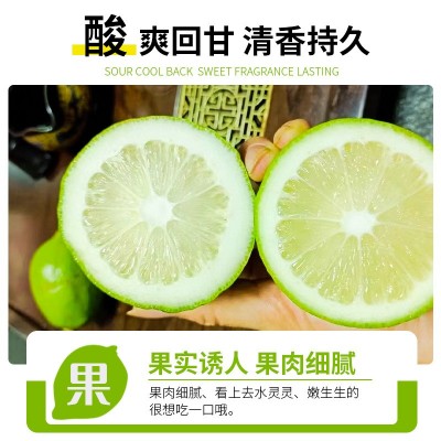 香水柠檬当季奶茶店专用广东香水柠檬专一级整箱皮薄独立包装柠檬图2