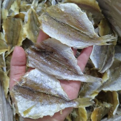 北海特产黄花鱼片多味鱼烧烤黄花鱼片微甜海鲜烤鱼片干货金线鱼片图4