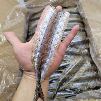 马步鱼干 烧烤马步鱼棒棒鱼多味鱼各种规格烧烤店专用马步鱼批发图4