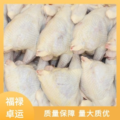 福禄卓运 源头厂家 白条鸡批发 货源充足 实力厂家