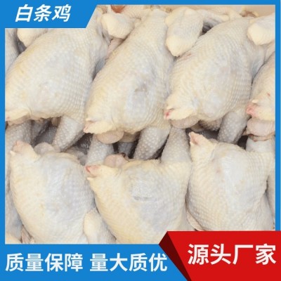 辣子鸡啤酒机烧鸡烤鸡 原料食材冷冻白条鸡 厂家 福禄卓运图5