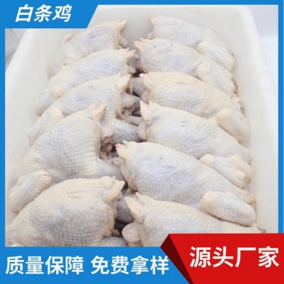 老母鸡批发 厂家深加工调理冷冻原料 白条鸡新鲜 福禄卓运图5