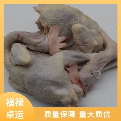 福禄卓运 产地发货 整箱白条鸡 冻品老母鸡 品质把关图3