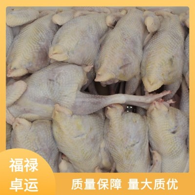 福禄卓运 产地发货 整箱白条鸡 冻品老母鸡 品质把关图2