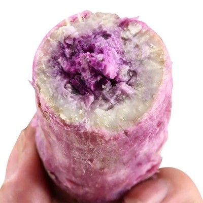冰淇淋红薯一点红紫心薯番薯沙地新鲜红蜜薯地瓜板栗红薯一件代发图4