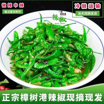 正宗湖南樟树港辣椒新鲜富晒辣椒现摘辣椒青椒薄批发产地一件代发图2