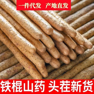 正宗铁棍山药5斤新鲜小白嘴山药铁杆淮山10斤非温县垆土一件代发图3