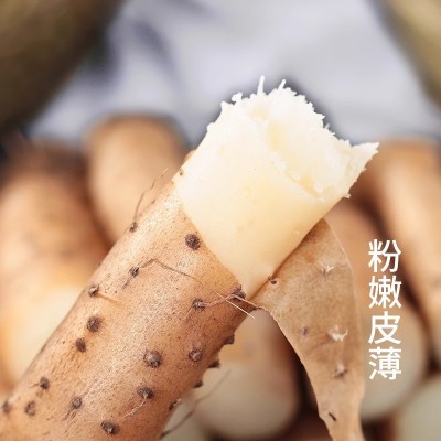正宗铁棍山药5斤新鲜小白嘴山药铁杆淮山10斤非温县垆土一件代发