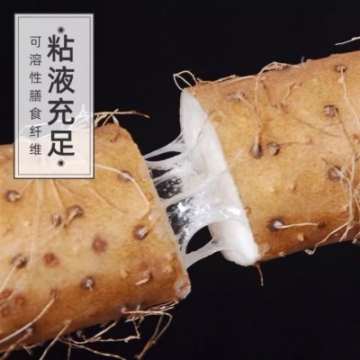 正宗铁棍山药5斤新鲜小白嘴山药铁杆淮山10斤非温县垆土一件代发图2