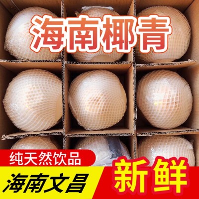 海南椰青新鲜椰子9个装当季孕妇水果椰香皇去皮香水椰子包邮整箱图3