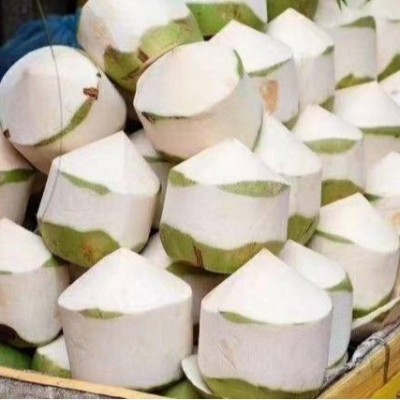 海南椰青新鲜椰子9个装当季孕妇水果椰香皇去皮香水椰子包邮整箱图2