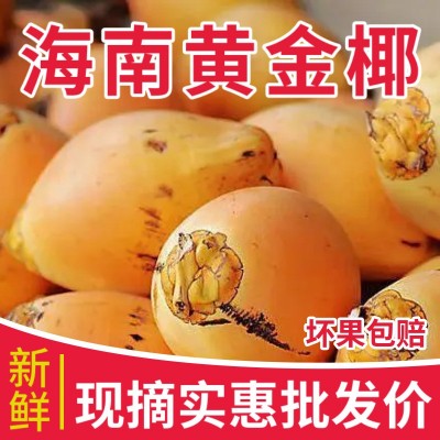 海南万宁黄金椰子现摘现发新鲜水果4/6/9个装整箱一件代发批发图2